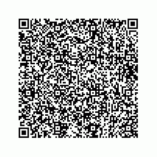 vCard 73832337208