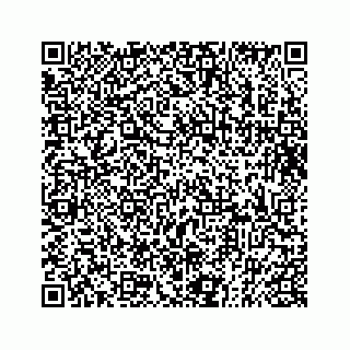 vCard 73832337209