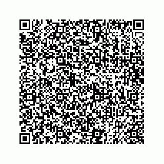 vCard 73832337210