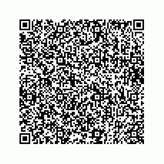 vCard 73832337211