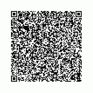 vCard 73832337214