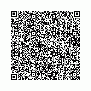 vCard 73832337215