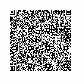 vCard 73832337219