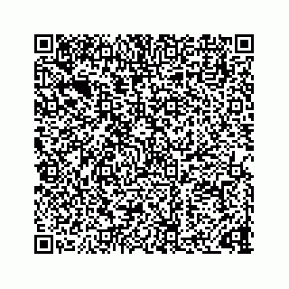 vCard 73832337334