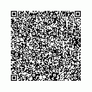 vCard 73832338335