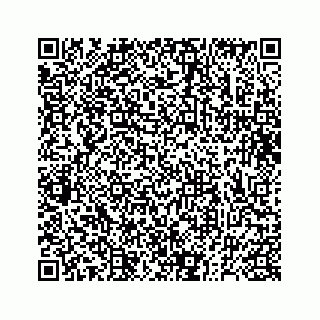 vCard 73832338370