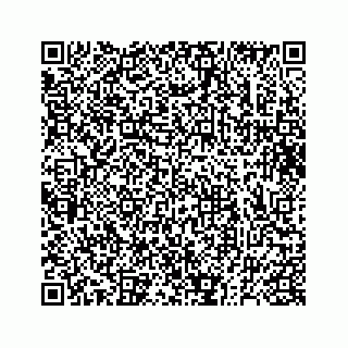 vCard 73832338371