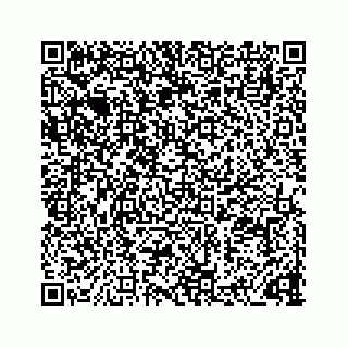 vCard 73832338379
