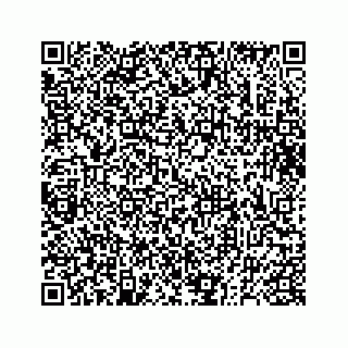 vCard 73832338381