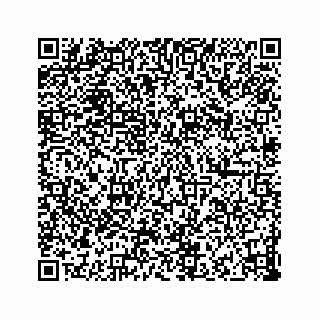 vCard 73832339021