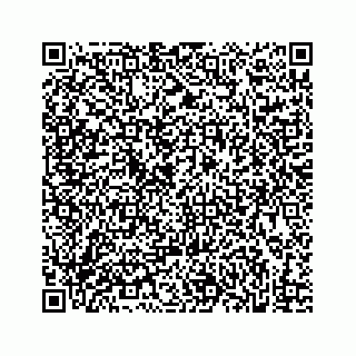 vCard 73832339300