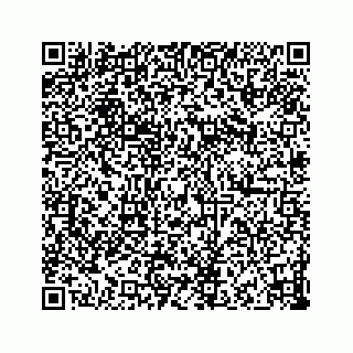vCard 73832339321