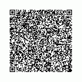 vCard 73832370889
