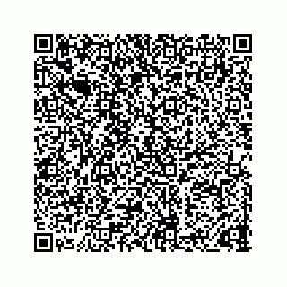 vCard 73832379509