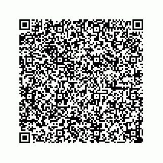 vCard 73832379521