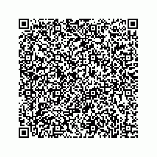 vCard 73832379613