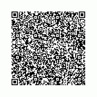 vCard 73832379678