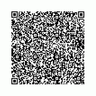 vCard 73832379711