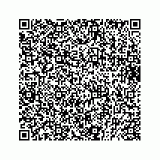 vCard 73832449203