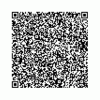 vCard 73832449209