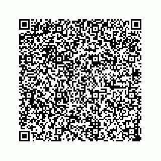 vCard 73832449249