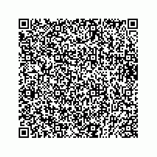 vCard 73832449272