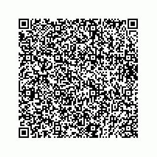 vCard 73832449299
