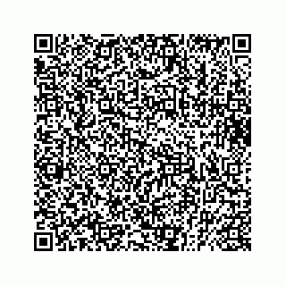 vCard 73832449733