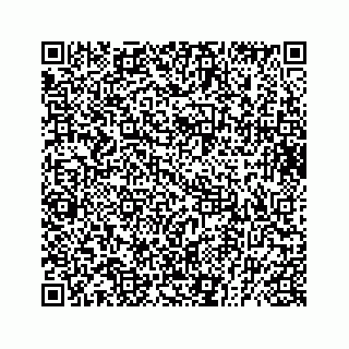 vCard 73832449913