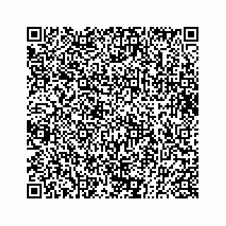 vCard 73832450321