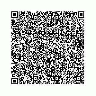 vCard 73832470041