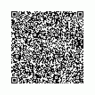 vCard 73832470312