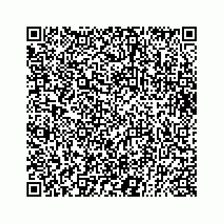 vCard 73832491335