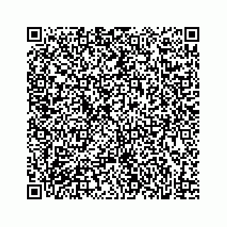 vCard 73832499903