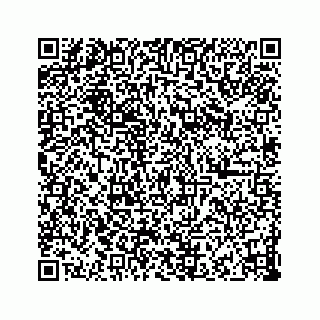 vCard 73832499924