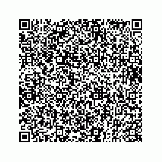 vCard 73832582111