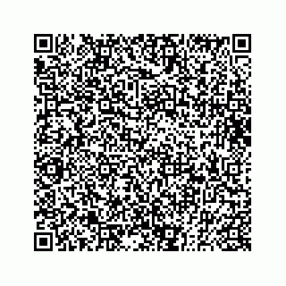 vCard 73832640000