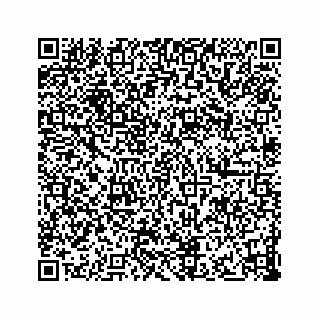 vCard 73832640029