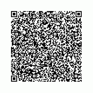 vCard 73832640308