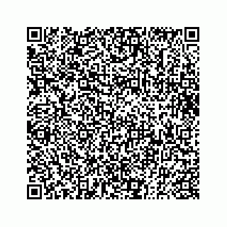 vCard 73832640331