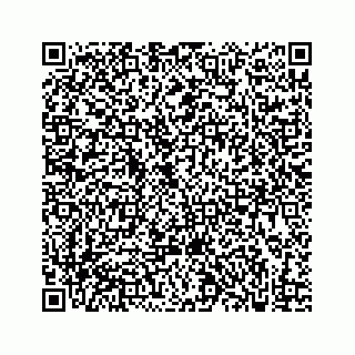 vCard 73832640333
