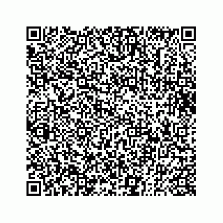vCard 73832640351