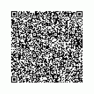 vCard 73832640387