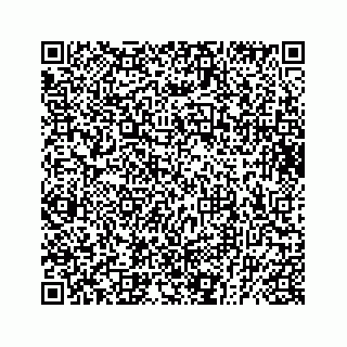 vCard 73832749403