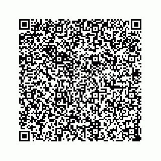 vCard 73832749449