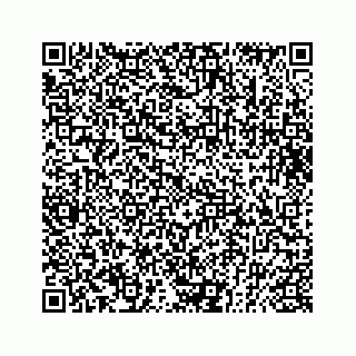 vCard 73832881305
