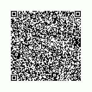 vCard 73832881413