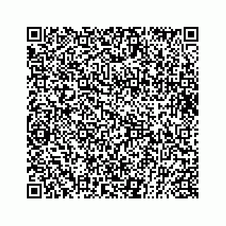 vCard 73832881419