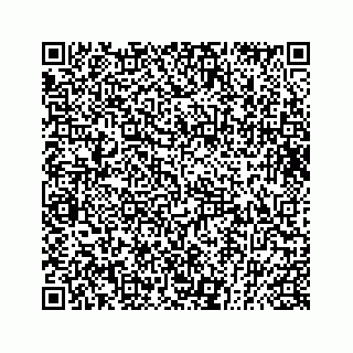 vCard 73832881519
