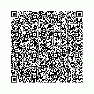 vCard 73832881527
